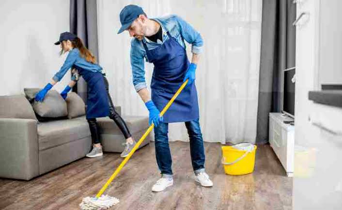 Cleaner